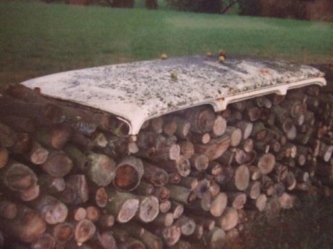 dscf2612.JPG