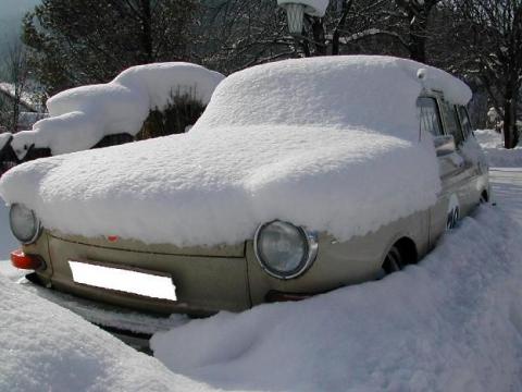 inthesnow.jpg