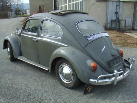 dscf8159.JPG